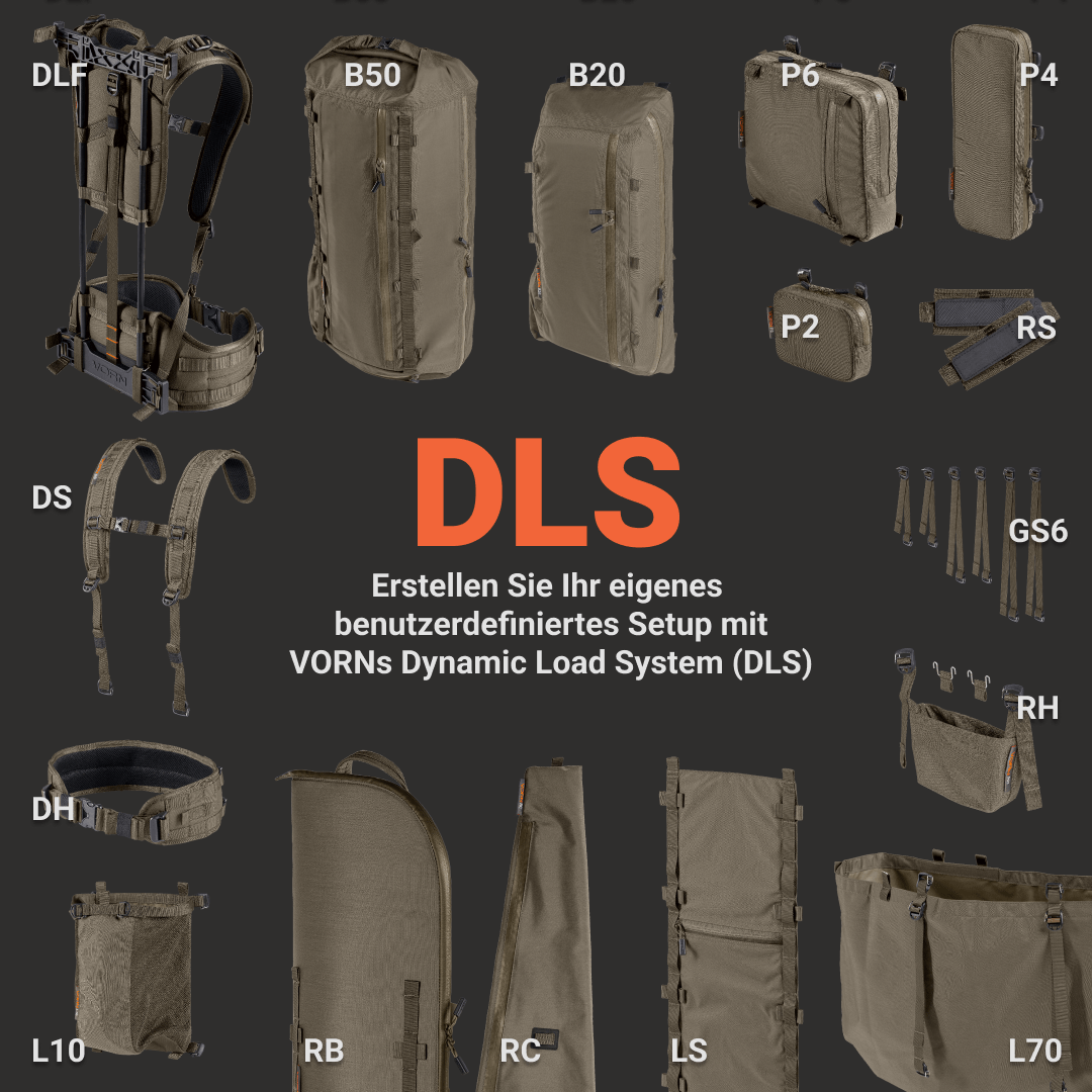 dlsintro-1