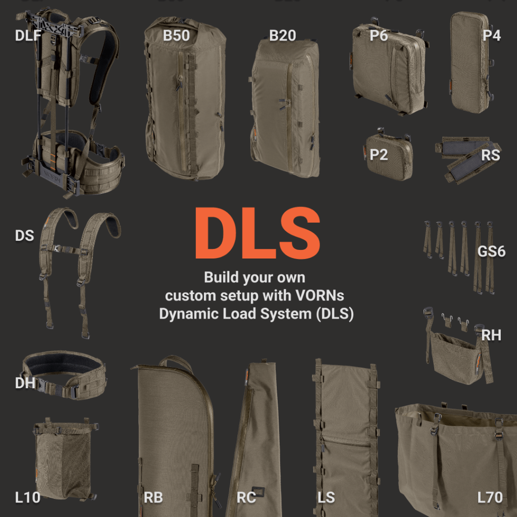 Dlsintro-1