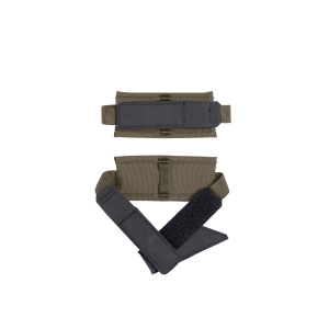 RS-1