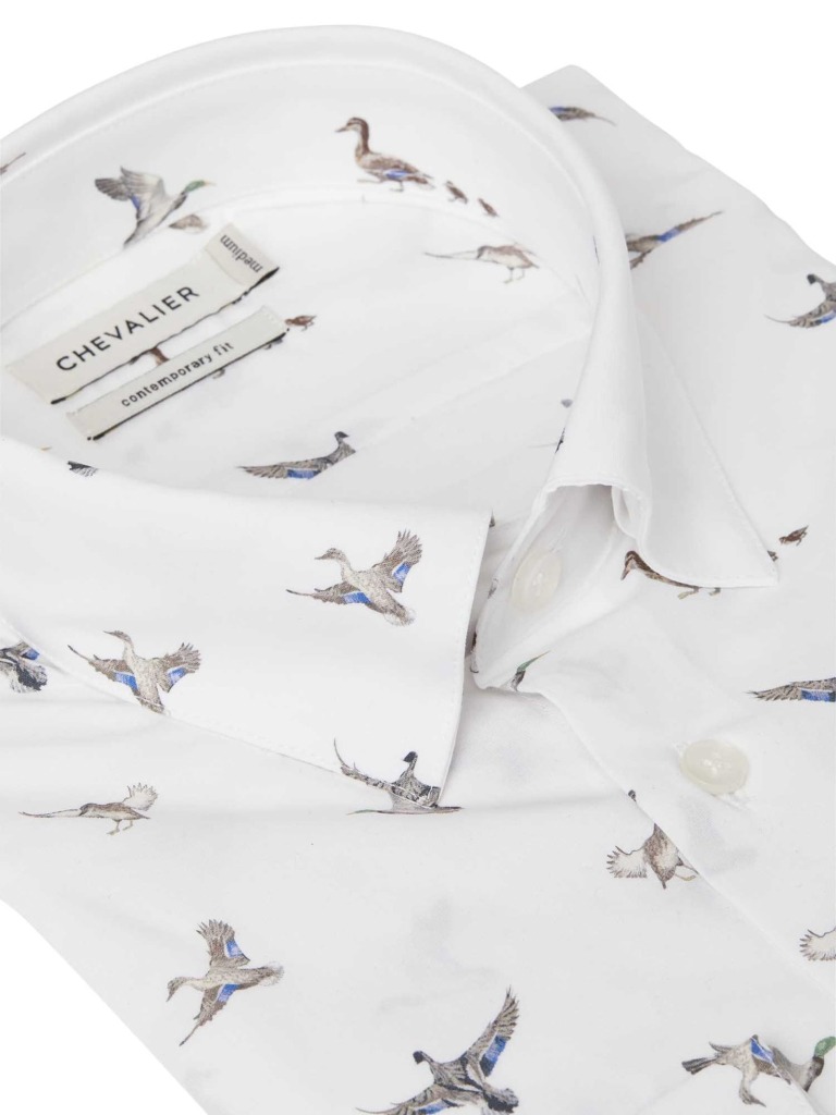 chemise-danson-canard-homme-chevalier-col
