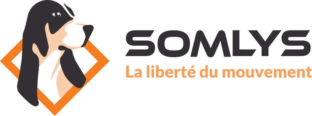 logo-somlys-france