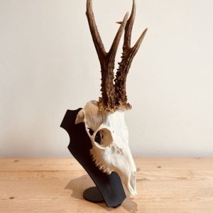 support-de-trophee-brocard-piedestal-parvus