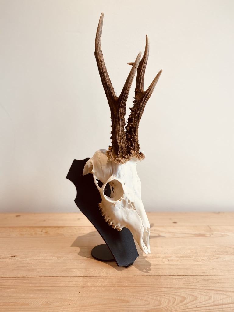 support-de-trophee-brocard-piedestal-parvus