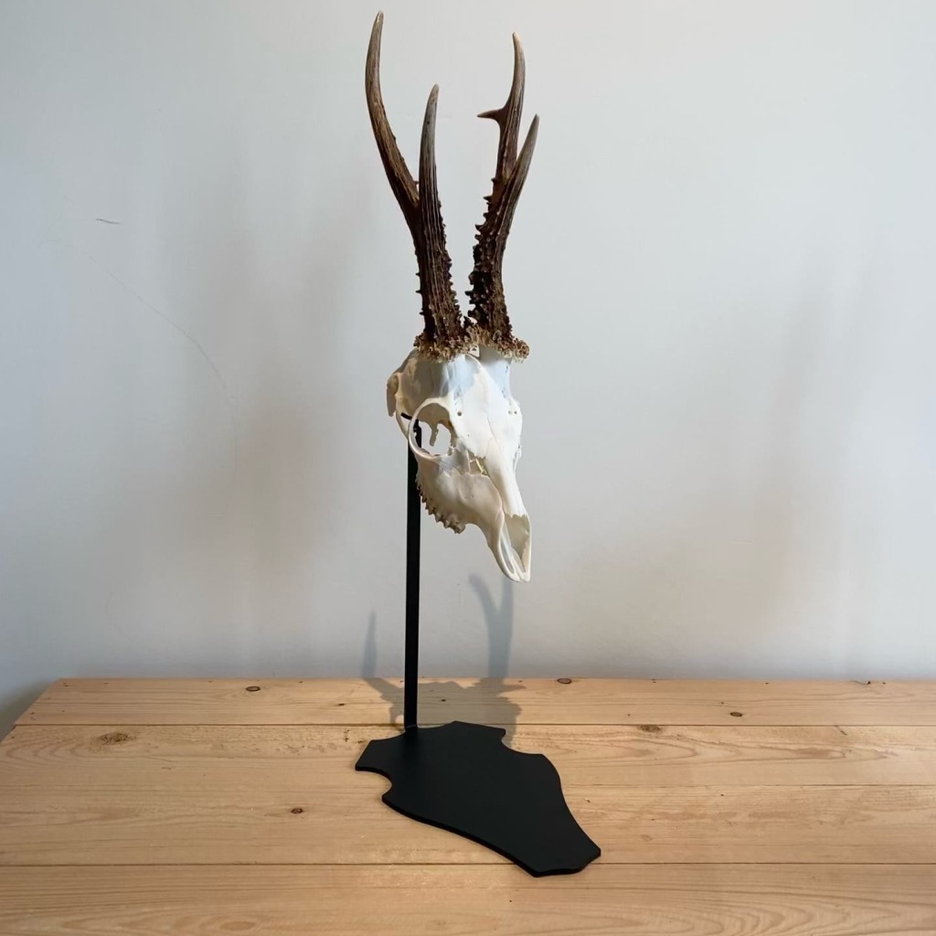 support-de-trophee-brocard-piedestal-parvus-deco