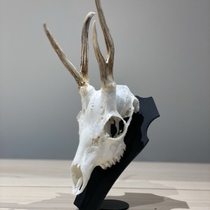 support-de-trophee-brocard-piedestal-primus-massacre