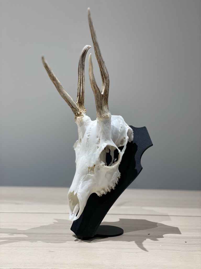 support-de-trophee-brocard-piedestal-primus-massacre