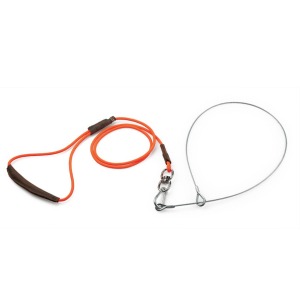 tire-gibier-R1836-riserva-entier